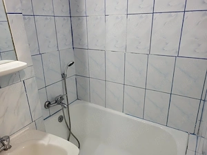 Inchiriez garsoniera Piata Salajan - imagine 6