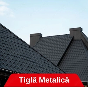 executam lucrări  - imagine 5