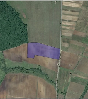 Vand teren Comuna Martinesti, Hunedoara - imagine 5