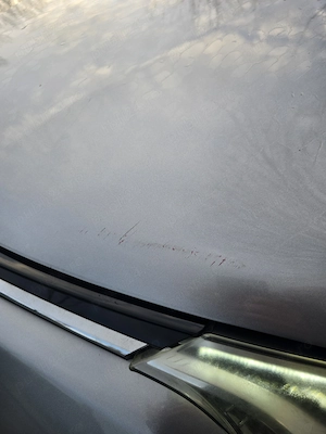 Toyota RAV4 Hybrid AWD Executive 2017, Full, Piele, Camera, Lane Assist - imagine 9