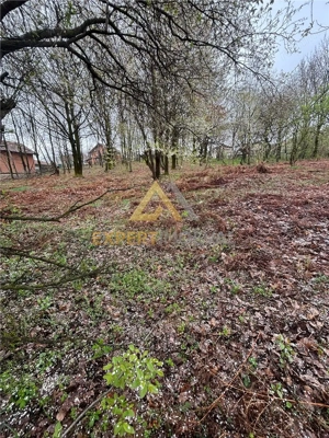 Teren intravilan in spate la Castel Transilvania 1.000mp