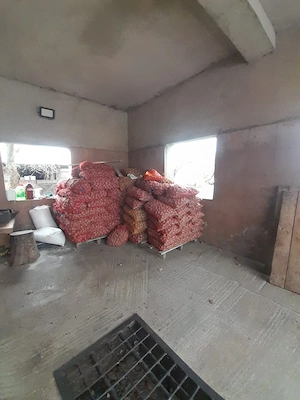 Crtofi de sămânță