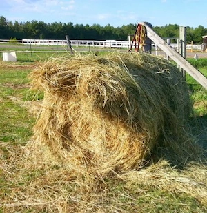 Vand baloti rotunzi de fan 