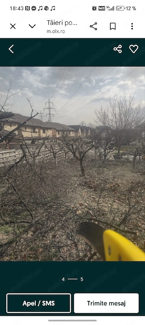 tăiere pomi si vita de vie profesională  - imagine 3