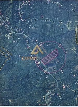 Teren intravilan de vanzare - imagine 7