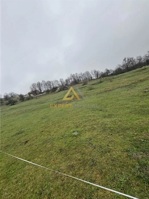 Teren intravilan de vanzare - imagine 2