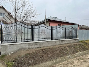 executam gardurii  - imagine 4