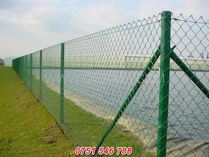 executam gardurii - imagine 2