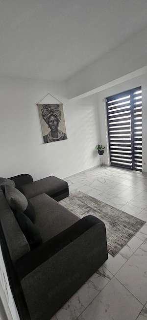 regim hotelier  - imagine 4