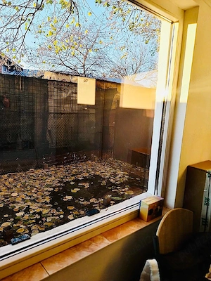 Ap 2 cam mobilat - imagine 5