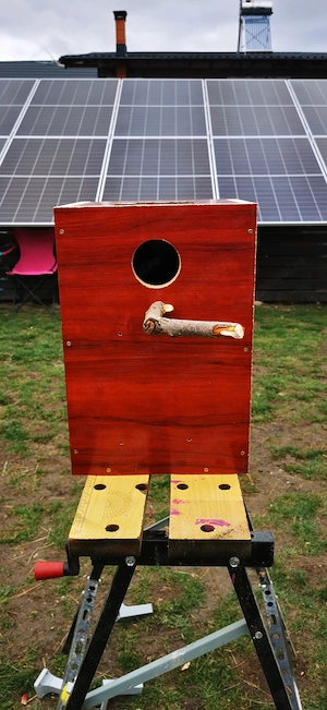 Vând cuiburi pentru papagali 