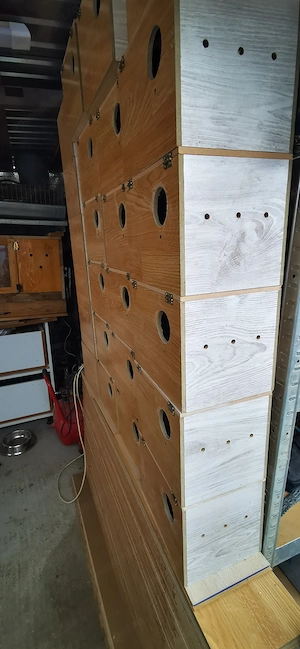 Vând cuiburi peruși  - imagine 3