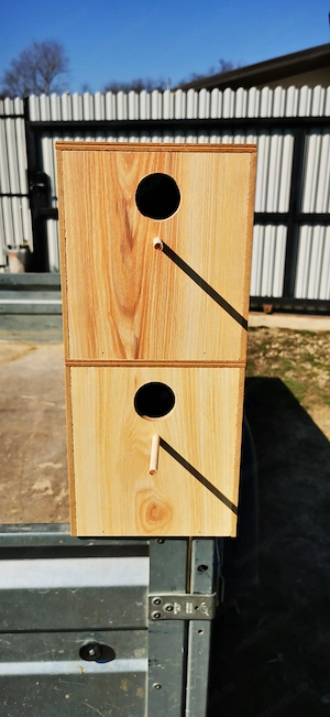 Vând cuiburi peruși 