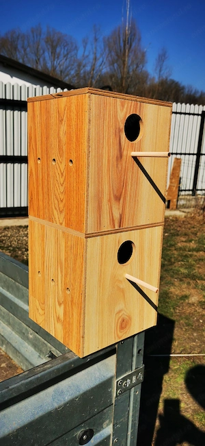 Vând cuiburi peruși  - imagine 2