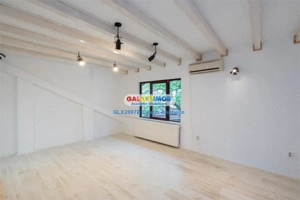 Vila Lux 5 Camere - Romana