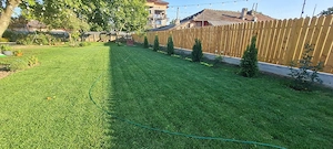 Servicii întreținere spații verzi