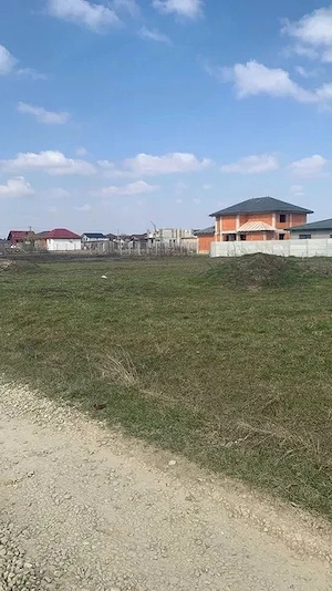 Teren 1.055 mp cu 2 deschideri   Dumitrana Măgurele   Utilități