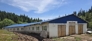 Urgent!!! Saivan de vaci lapte carne de 800mp complet utilat in com Breaza, Sv - imagine 6