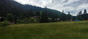 Teren 1000 mp Arieșeni   Gârda de Sus | aproape Ghețarul Scărișoara - imagine 4
