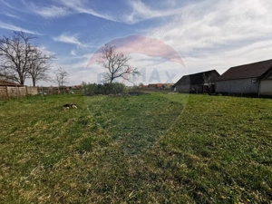 De vânzare teren intravilan, 3,775 mp, Cefa - imagine 5