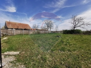 De vânzare teren intravilan, 3,775 mp, Cefa - imagine 6