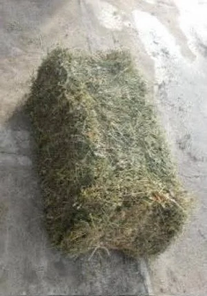 Vând baloți de lucernă coasa 2 25 RON balotul