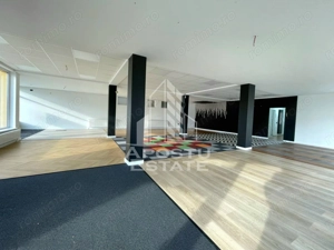 Spatiu Comercia/ Showroom 200mp util+curte720mp/GRADISTE - imagine 3
