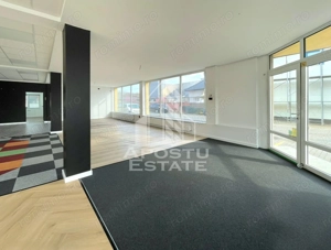 Spatiu Comercia/ Showroom 200mp util+curte720mp/GRADISTE - imagine 4