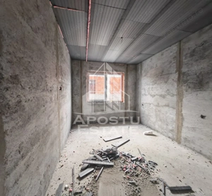 Duplex de vanzare, pe parter, 3 camere, Sag, zona Manastirii, Timis - imagine 10