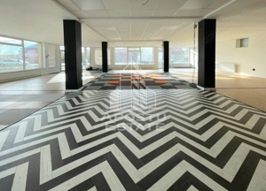 Spatiu Comercia/ Showroom 200mp util+curte720mp/GRADISTE - imagine 5