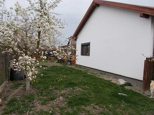 Duplex Mosnita Veche, 2014, parter, 3 camere, mobilat, utilat, despartit de camera tehnica, com=0% - imagine 20