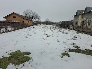 Teren Intravilan Domnesti Ilfov