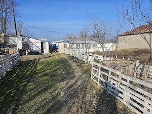 casa +teren