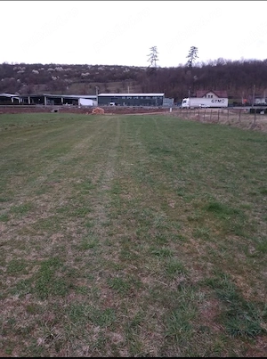 Teren intravilan de vânzare în Crainimăt