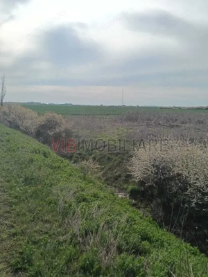 Săcălaz – Beregsău | Teren extravilan 1 ha | Potențial dezvoltare