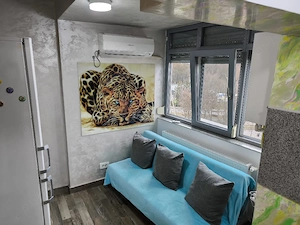 garsoniera de inchiriat - imagine 4