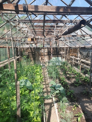 Casă de vânzare în zonă turistică - Budești, Maramureș - imagine 5