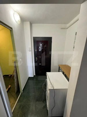 Apartament 3 camere Arizona Ludus - imagine 11