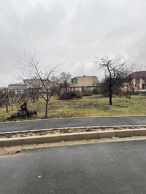 Vând 2 loturi teren de 350 mp parcela, zona Oncea,  str Bunytai Vince - imagine 8