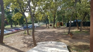 Teren Generos/ Locatie Premium