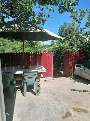 Casa de vanzare sat Vlascuta, județul Galați  - imagine 6