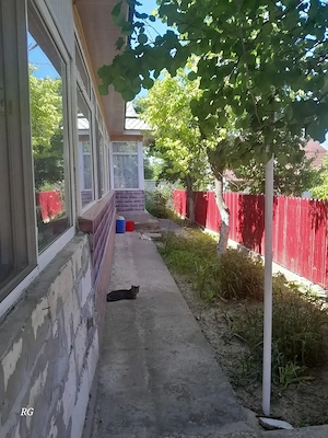 Casa de vanzare sat Vlascuta, județul Galați  - imagine 7