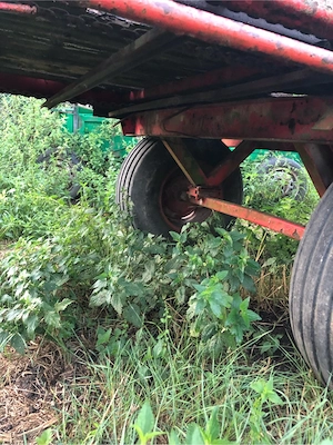 Remorca Trailer Platforma Welger - imagine 3