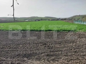 Proprietate cu casa renovabila si anexe, teren 8291 mp, în Iclod - imagine 3