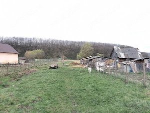 Teren intravilan com.Coasta-Bistrita-Năsăud  - imagine 3
