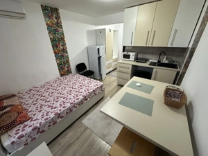 Apartament 1 camera la Mansarda - imagine 2