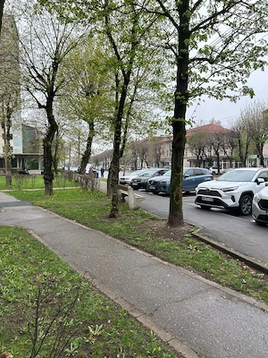 Dau în chirie spațiu pe bd. R. Mihai (fost bd. București, în Baia Mare): - imagine 4