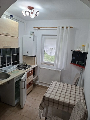 Cazare Geoagiu bai - imagine 3