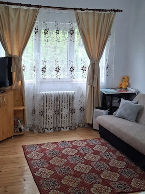 Cazare Geoagiu bai - imagine 4