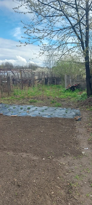 Casă + Hala de vanzare - imagine 5